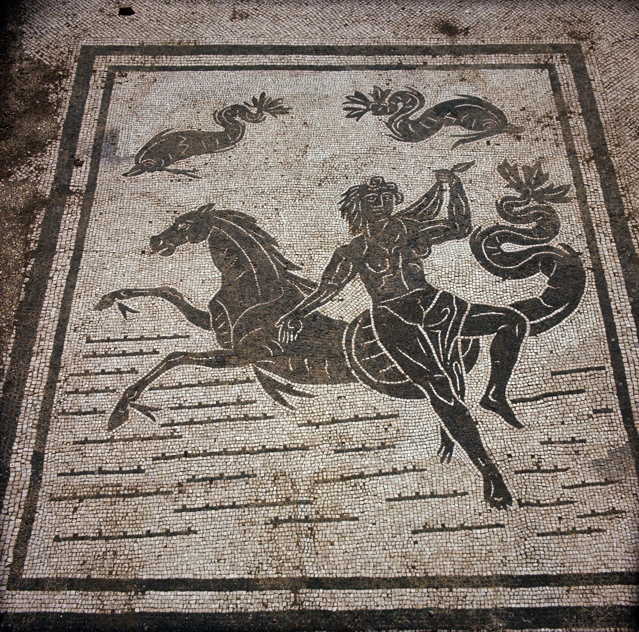 Ancient Ostia: Mosaic of the Sabratha Seafarers Corporation by Roman