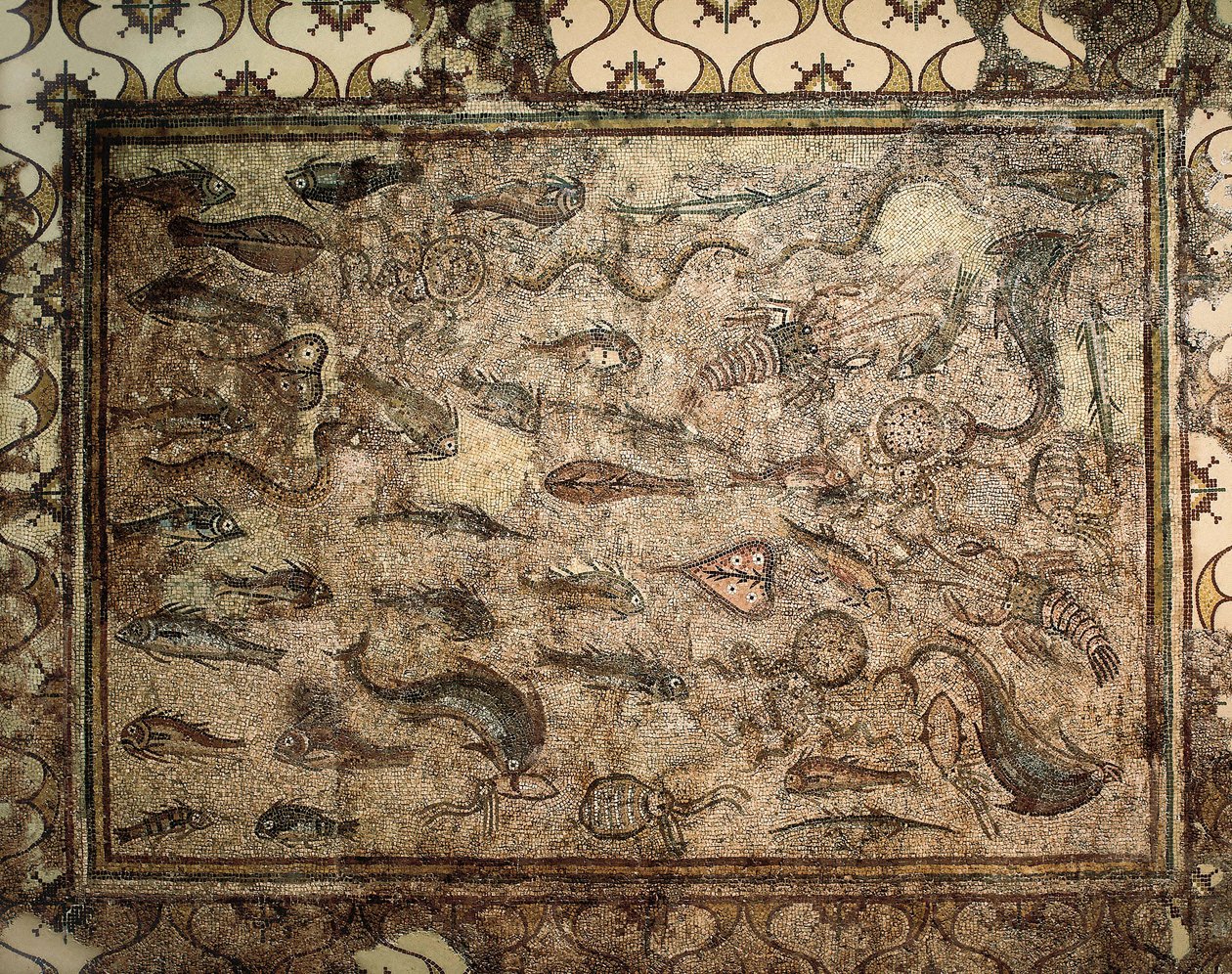Roman Art: Fish Mosaic by Roman