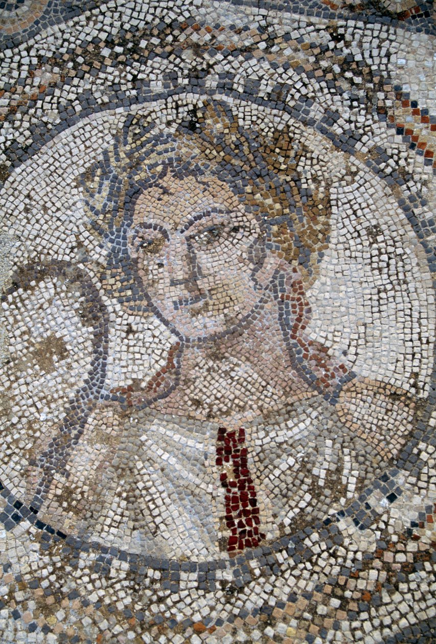 Female face, mosaic in Roman city of Volubilis by Roman