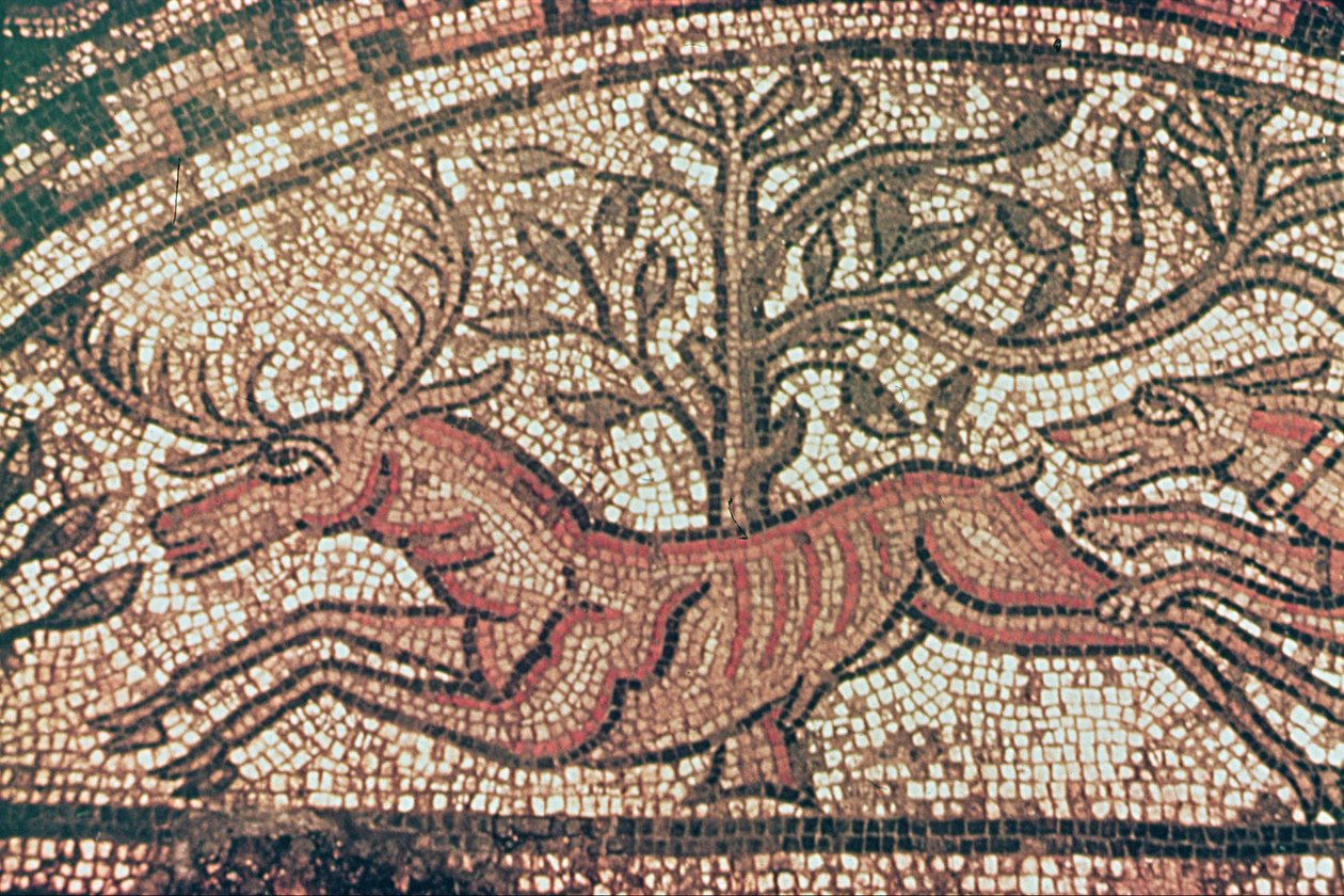 Hinton St. Mary pavement (detail) c.350 AD by Roman