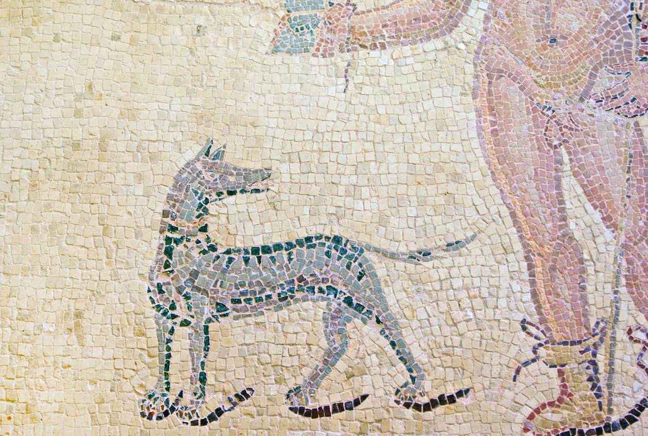 Hippolytus and Phaedra, Detail of Hippolytus