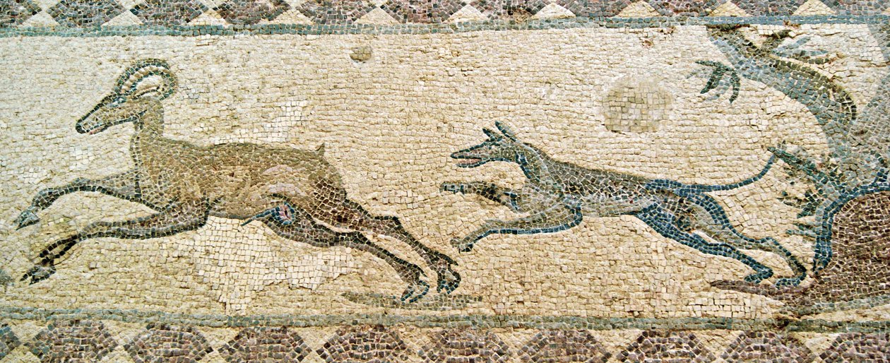 Hunting scene, House of Dionysos, Paphos, Cyprus by Roman