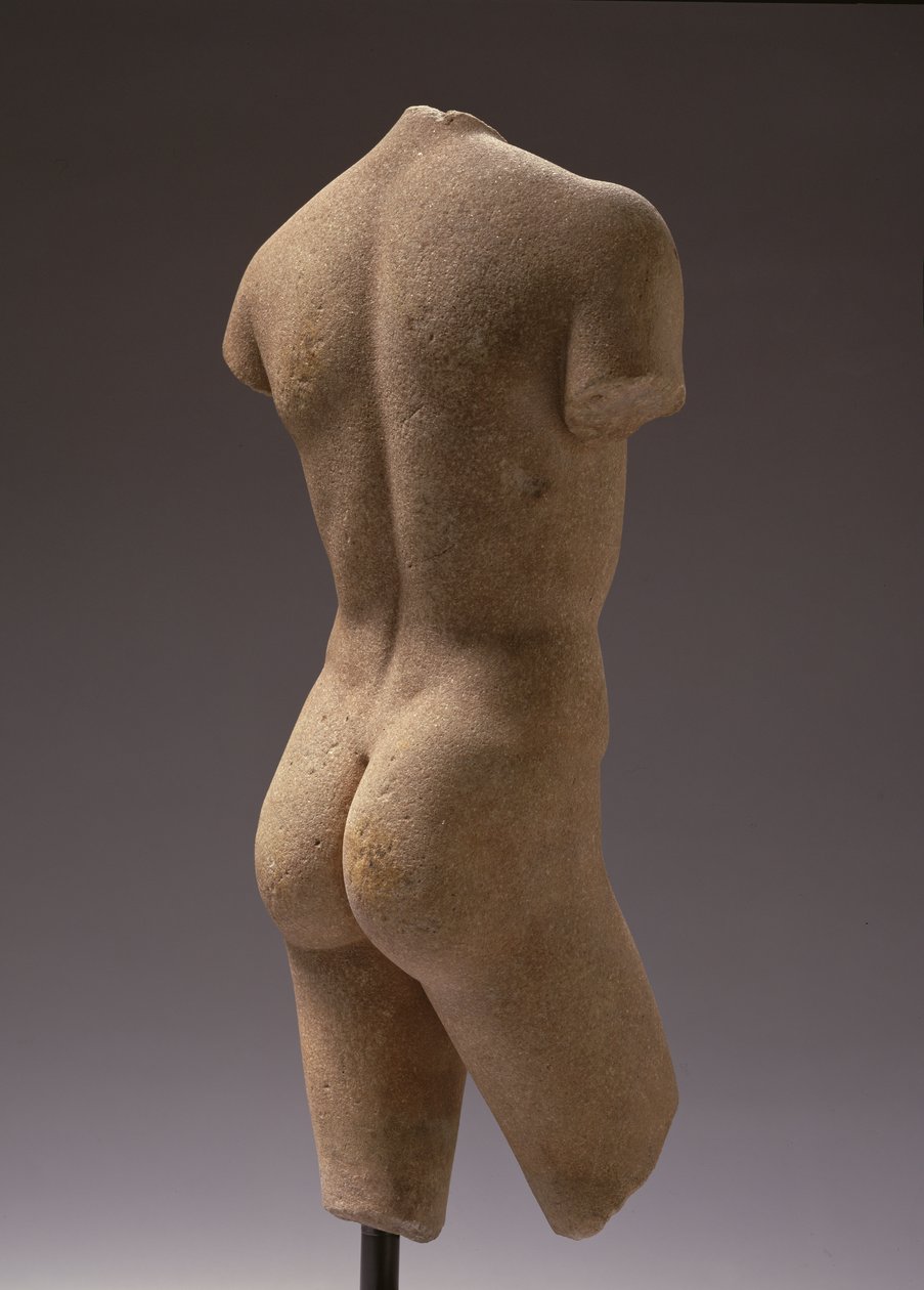 Rear View of a Naked Youth by Roman
