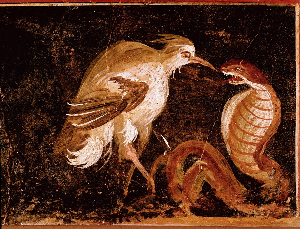 Fight Between a Heron and a Cobra, Roman Fresco from the House of the Epigrams, Pompeii, Italy by Roman