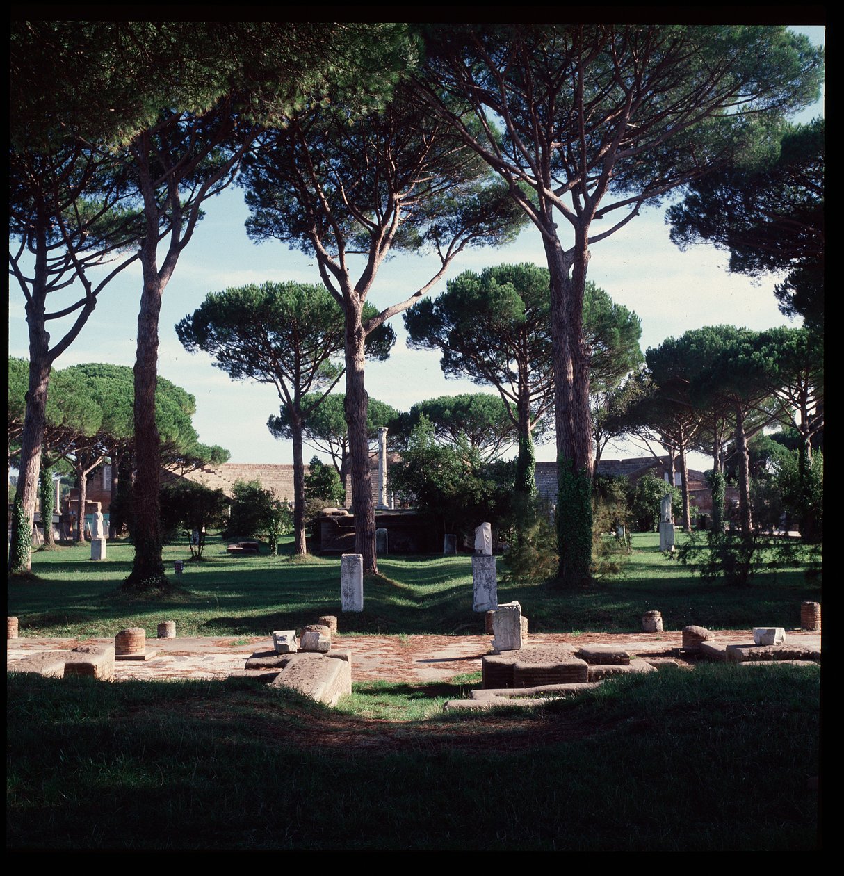 Roman Art: view of the ruins of the macellum (Marche Square) archeological site of Ostia by Roman