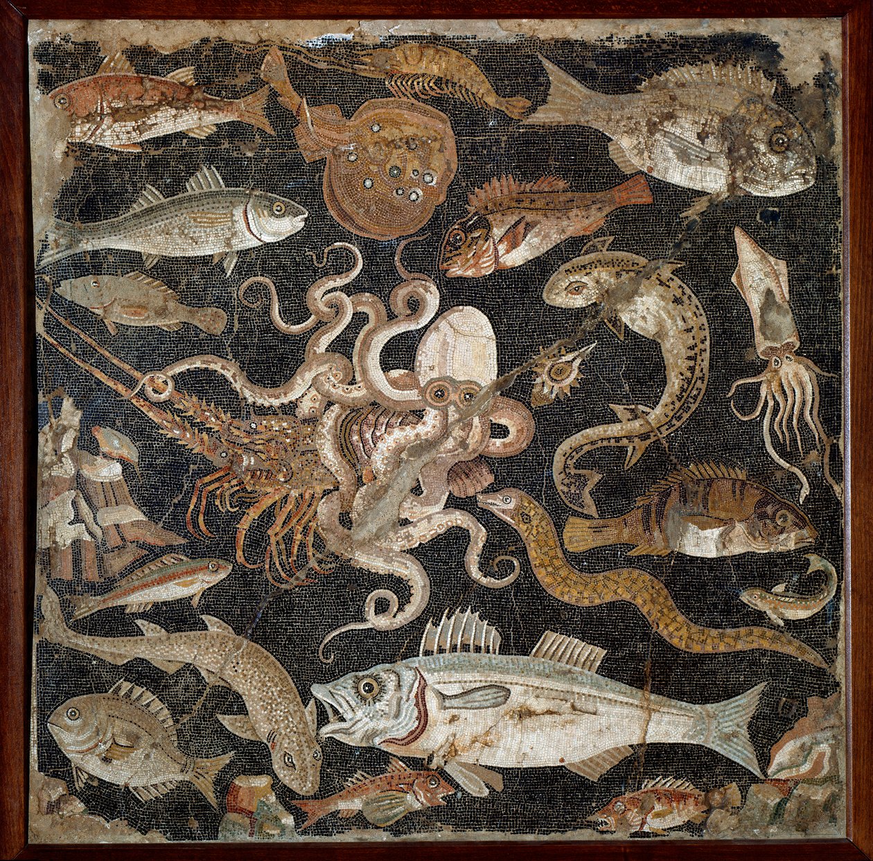 Roman Art: Marine Life by Roman