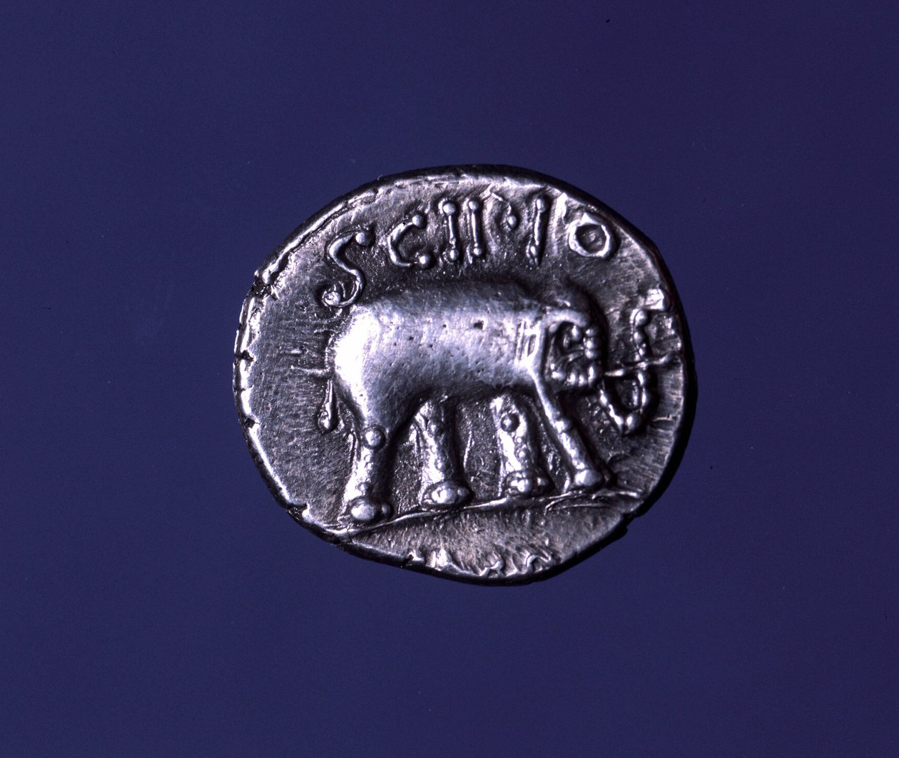 Silver coin representing an elephant, fetish animal of the Scipions. Lucius Caecilius Metellus seized the Carthaginian elephants in 251 BC. 47-46 BC by Roman