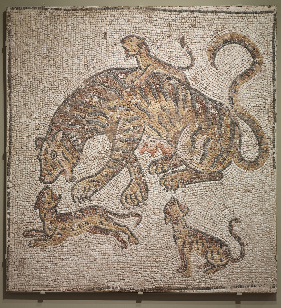 Tigress and Cubs, c.300 AD by Roman