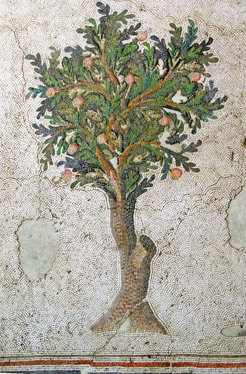 Unknown Image by Roman