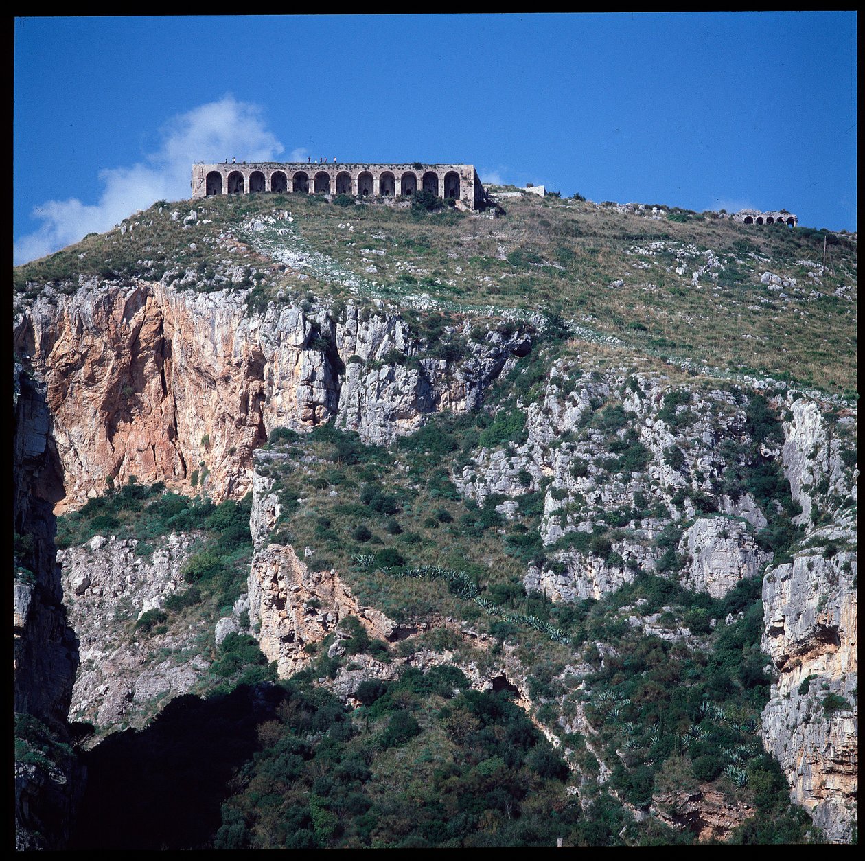 View of the Temple of Jupiter by Roman