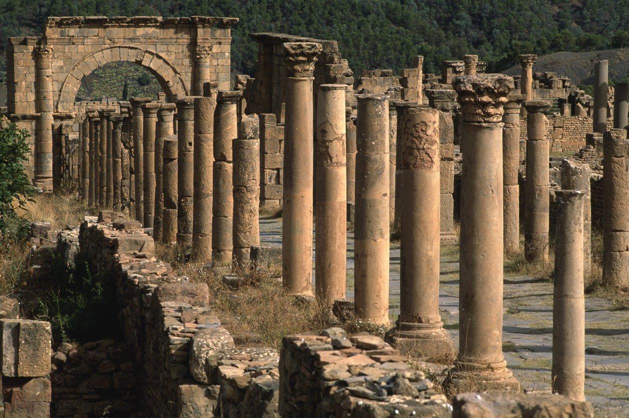 Cardo, High Imperial Period (27 BC-395 AD) by Roman Imperial Period