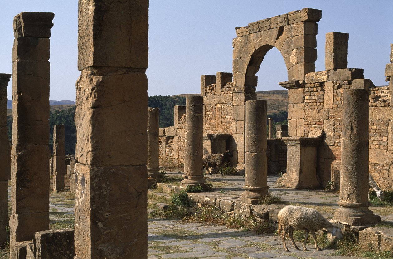 Cardo and entry of Cosinius Market, High Imperial Period by Roman Imperial Period