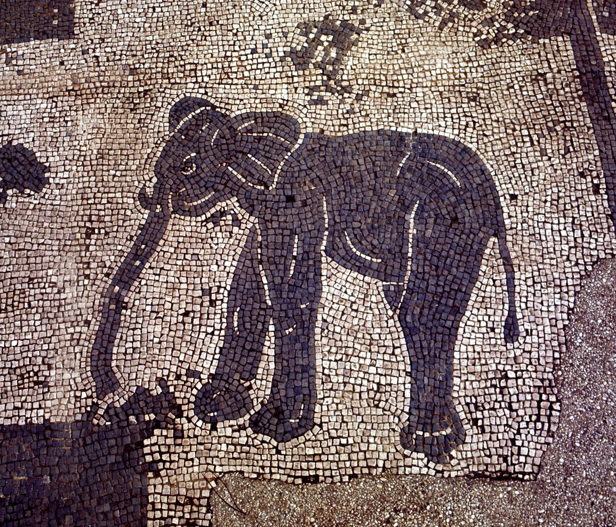 Ancient Ostia. Place des Corporations. Mosaic of the Sabratha Seafarers Corporation by Roman Roman