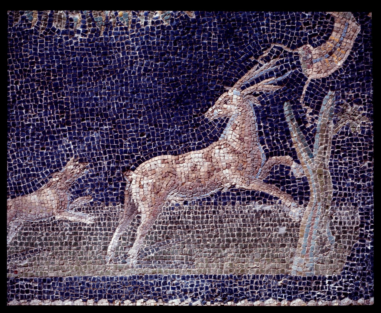 Detail of Wall Mosaics of the Nymphaeum of the Casa di Nettuno e Anfitrite