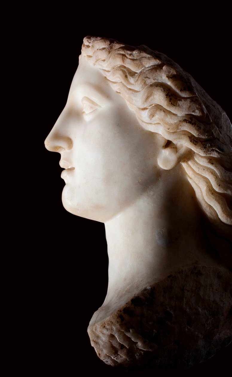 Head of the Goddess Juno - White marble sculpture, Roman period, Banasa (Morocco) - Musee d