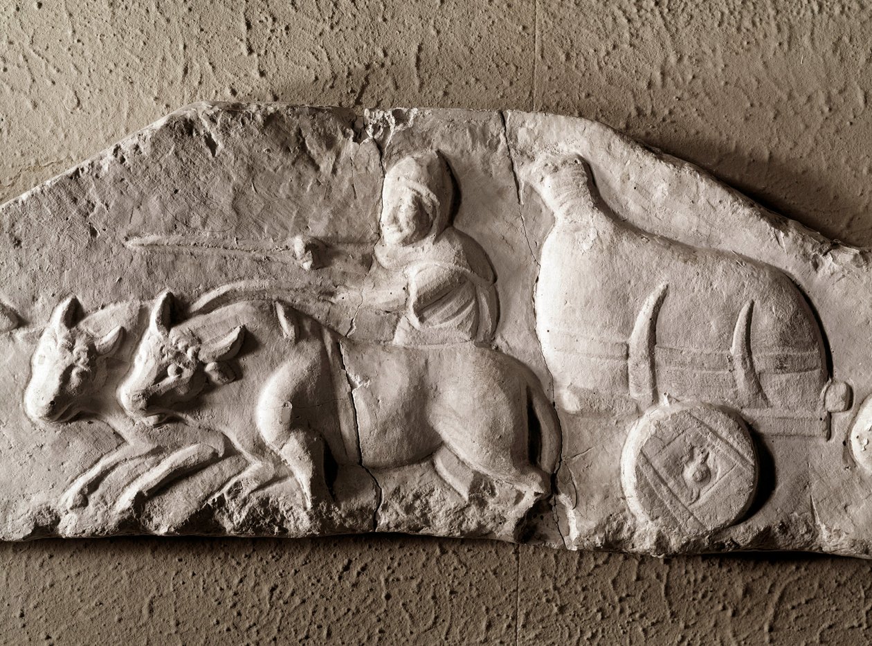 Carved ox tank. Roman Antiquities Museum, Rome by Roman Roman