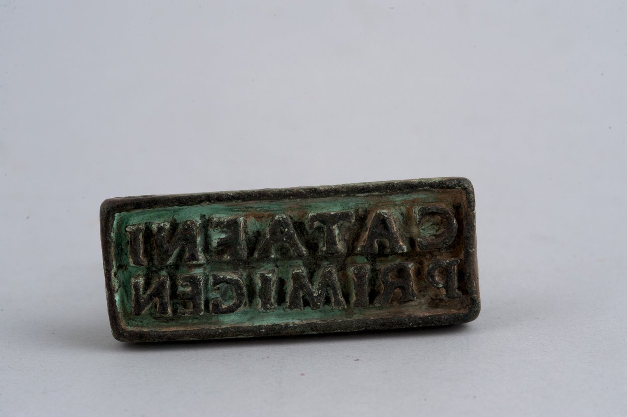 Seal by Roman Roman