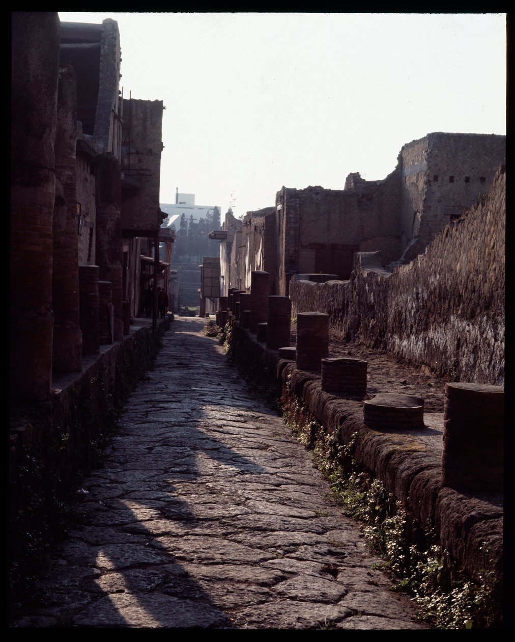 View of a Street by Roman Roman: Premium art reproduction