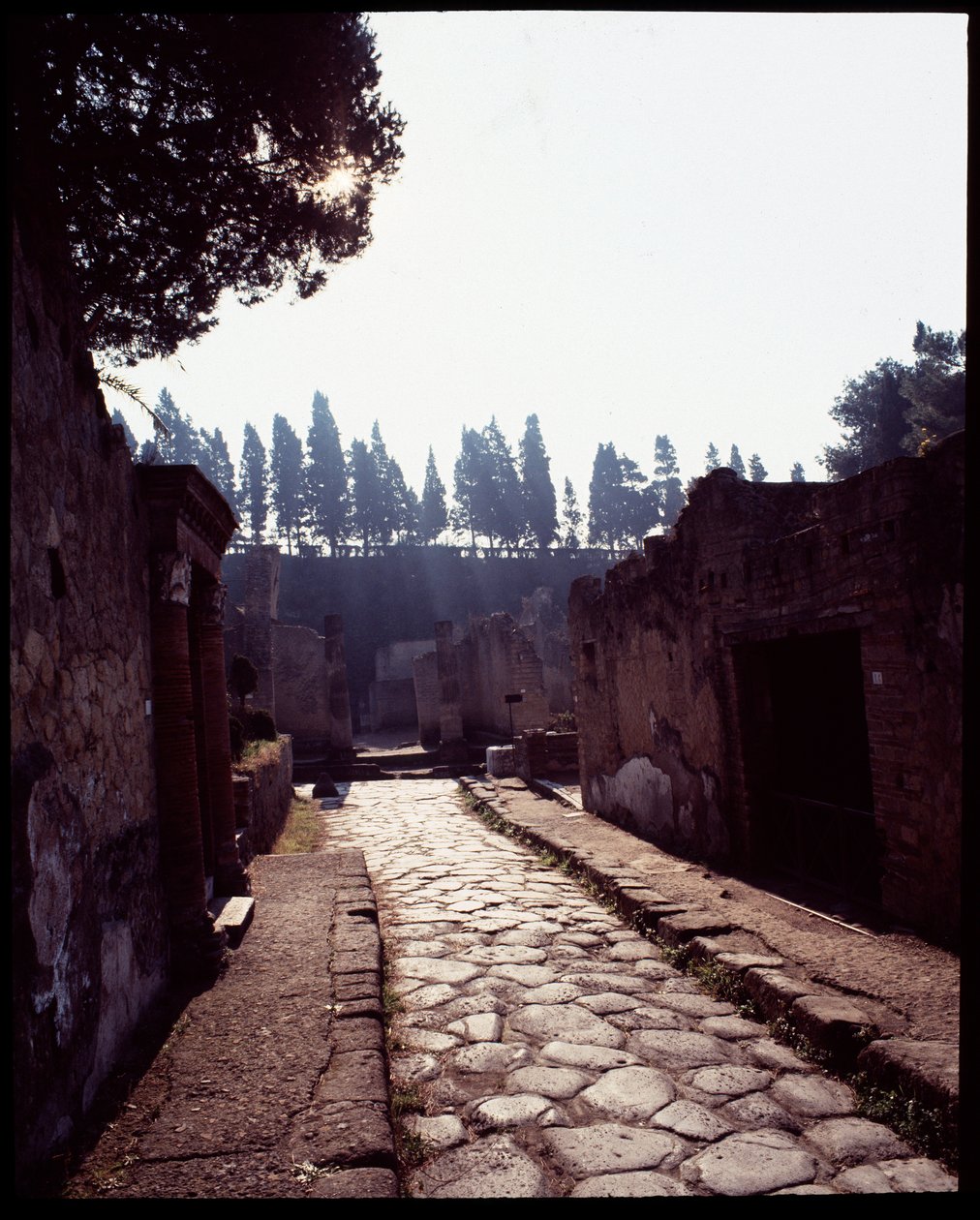View of Cardo V, 5th Century BC-1st Century AD by Roman Roman