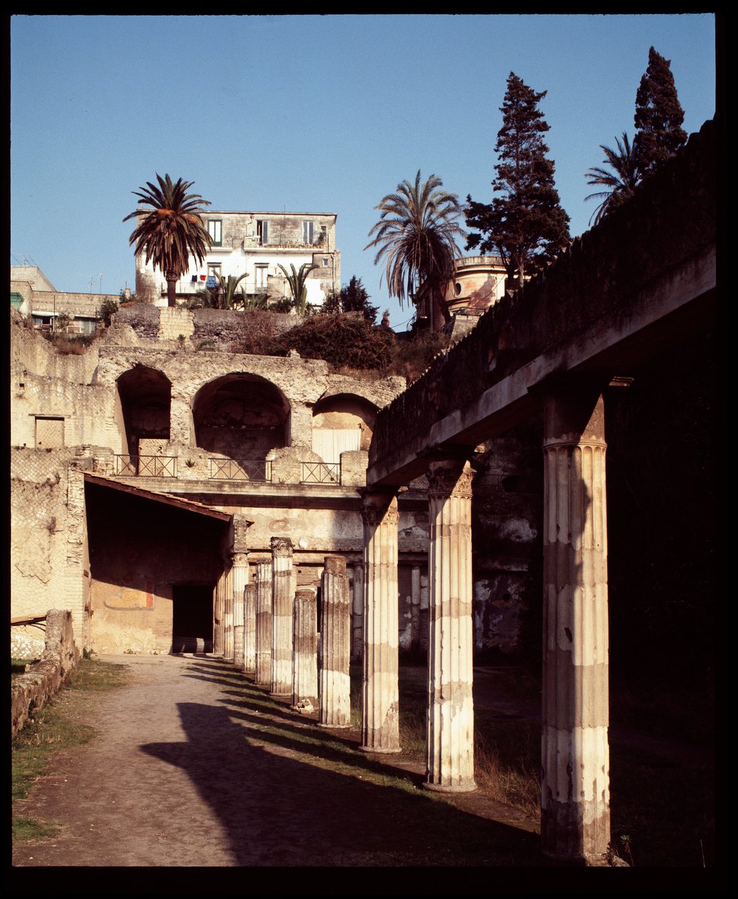 View of the Palestra by Roman Roman