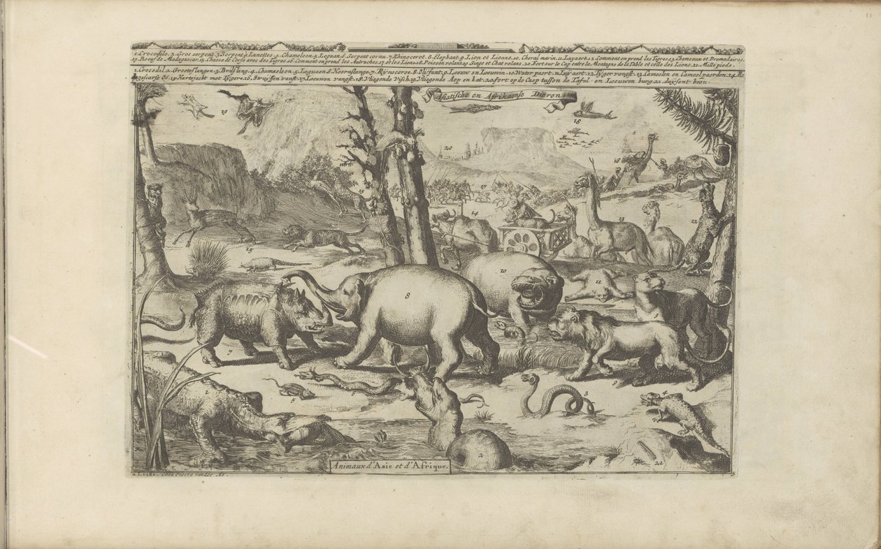 Asian and African animals by Romeyn de Hooghe