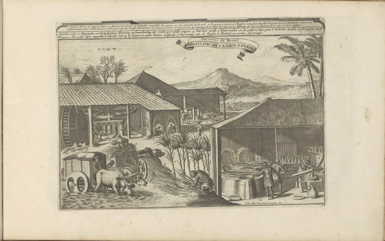 Brazilian Sugar Workers (title on object: Brazilian Sugar Works / Sugar Mills of Brazil) (series title: The East and West Indies and Other Places) by Romeyn de Hooghe
