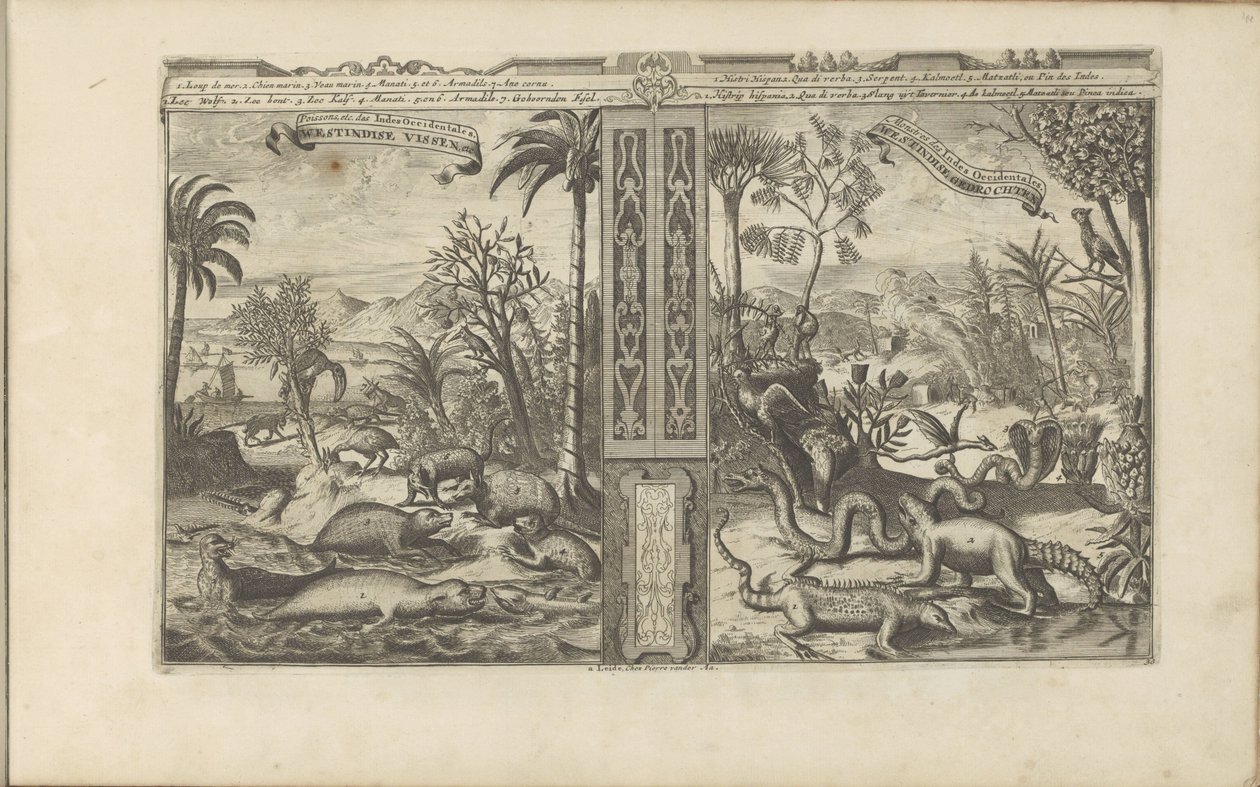 Animals from the West Indies (title on object: Westindische Vissen, etc / Poissons, etc des Indes Occidentales / Westindische Gedrochten / Monstres des Indes Occidentales) (series title: Les Indes Orientales et Occidentales et autres lieux) by Romeyn de Hooghe