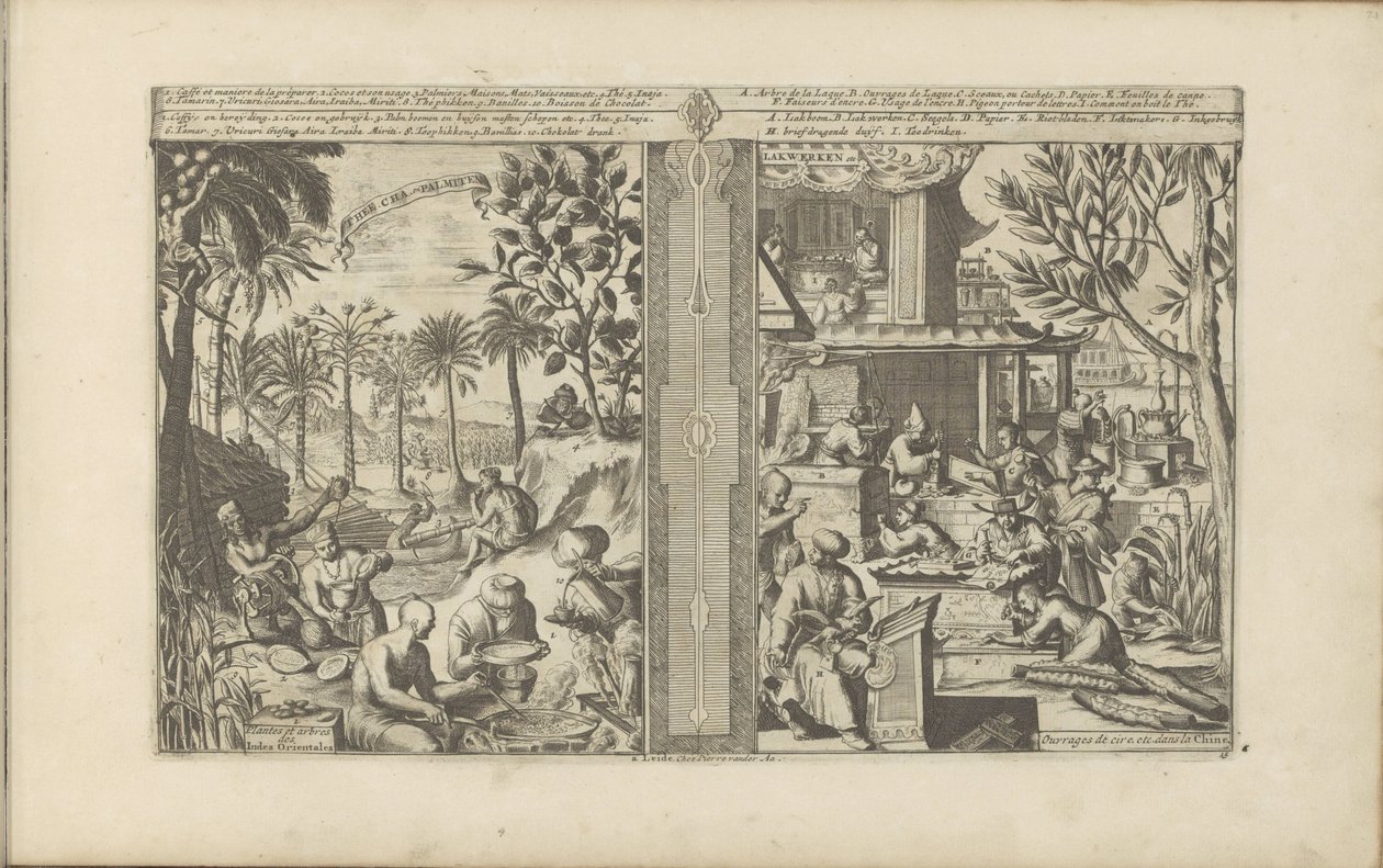 Drinks in East Indies; Lacquer and Paper from China, Tea, Cha and Palmiten, Plants and Trees of the East Indies, Lacquer Works, Wax Works, etc. in China by Romeyn de Hooghe