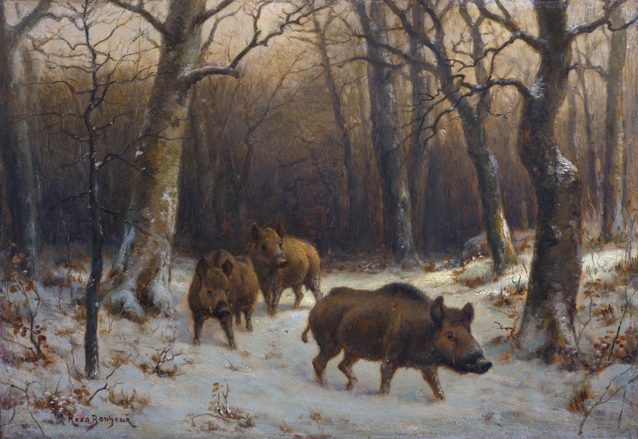Wild Boars in the Snow by Rosa Bonheur