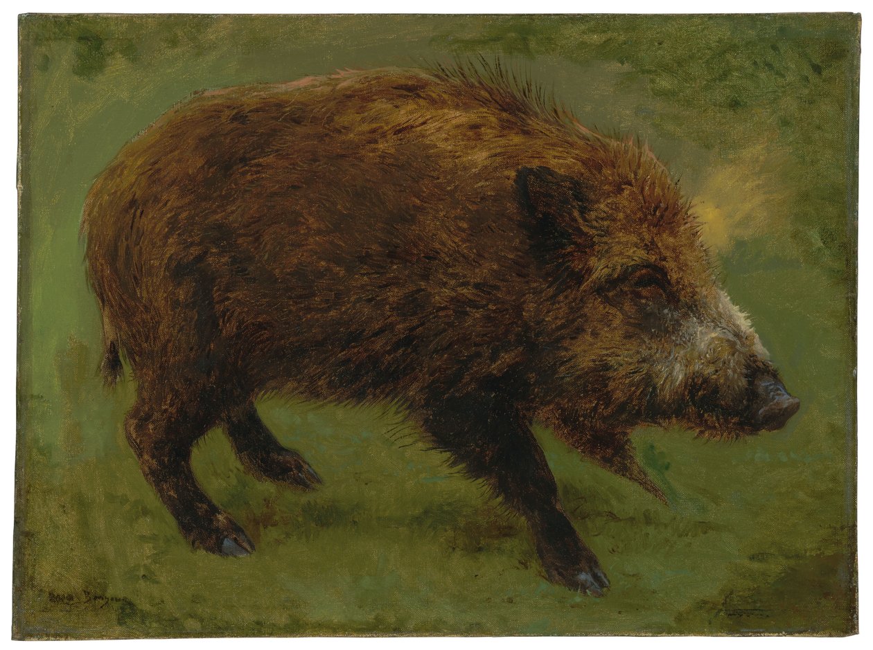 The Wild Boar by Rosa Bonheur