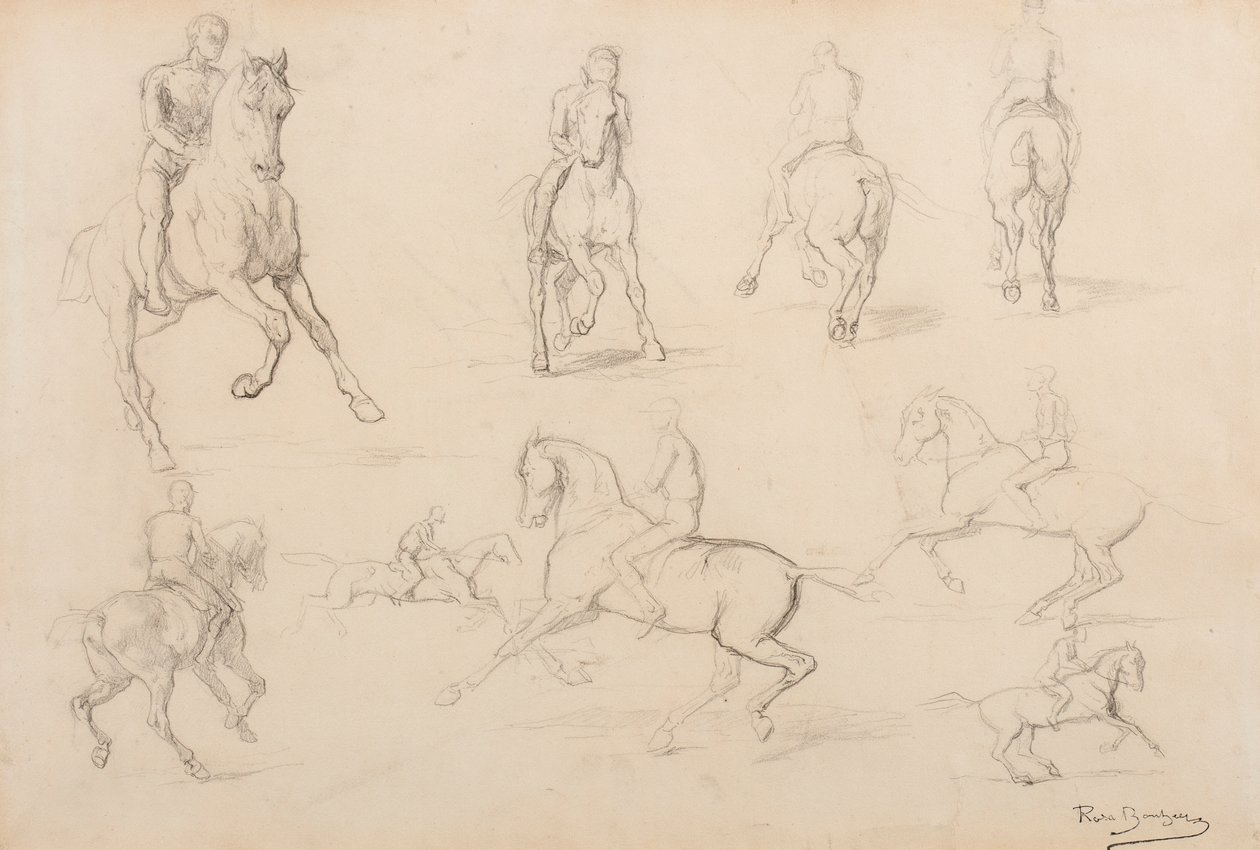 Studies of a Horse and Rider by Rosa Bonheur