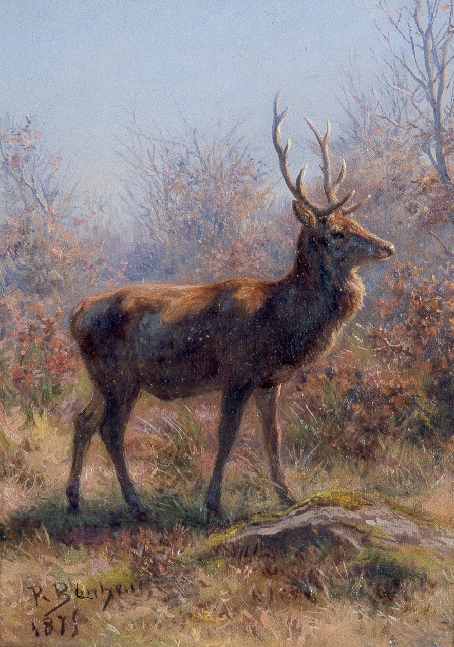 The Stag by Rosa Bonheur