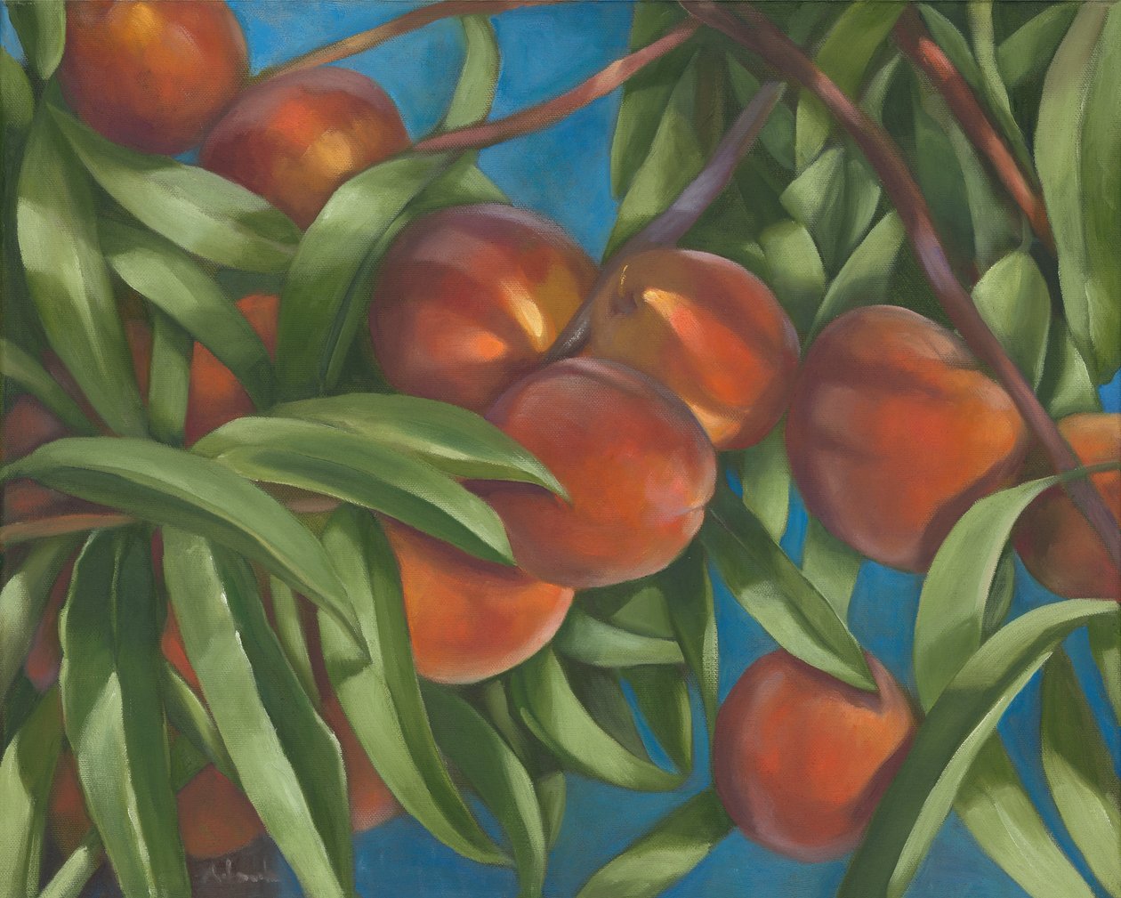 Peach Tree, 2014 by Rosemarie Adcock
