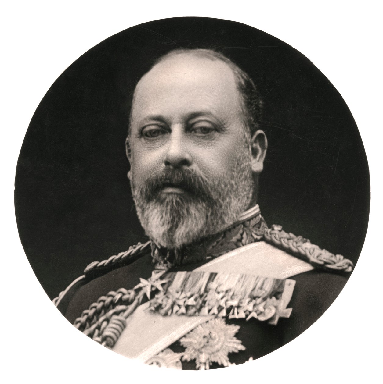King Edward VII by Rotary Photo