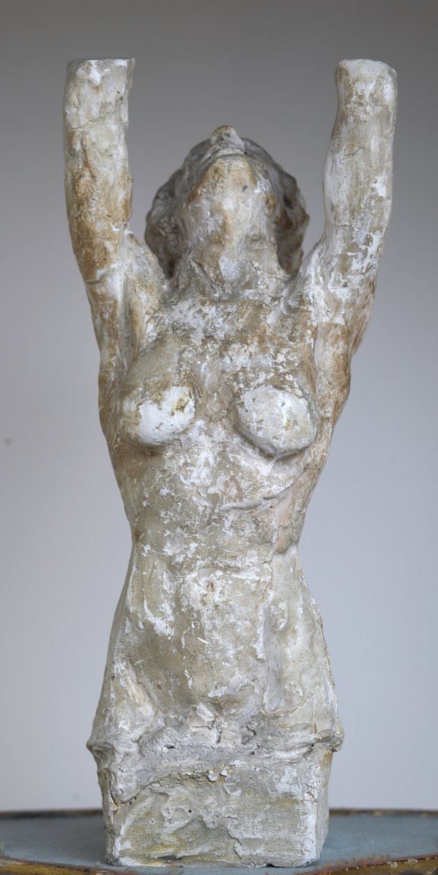 Hermaphrodite by Rubaldo Merello