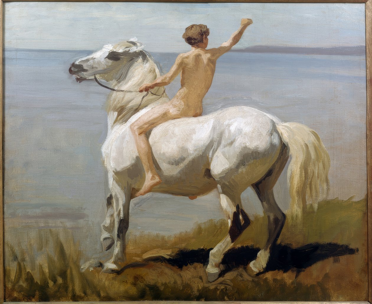 Boy on a White Horse by Rudolf Koller