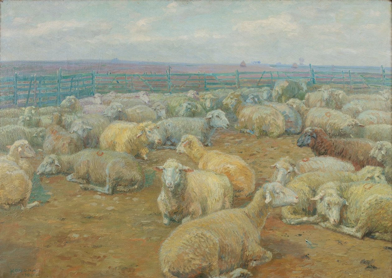 Sheep Park by Rudolf Konopa