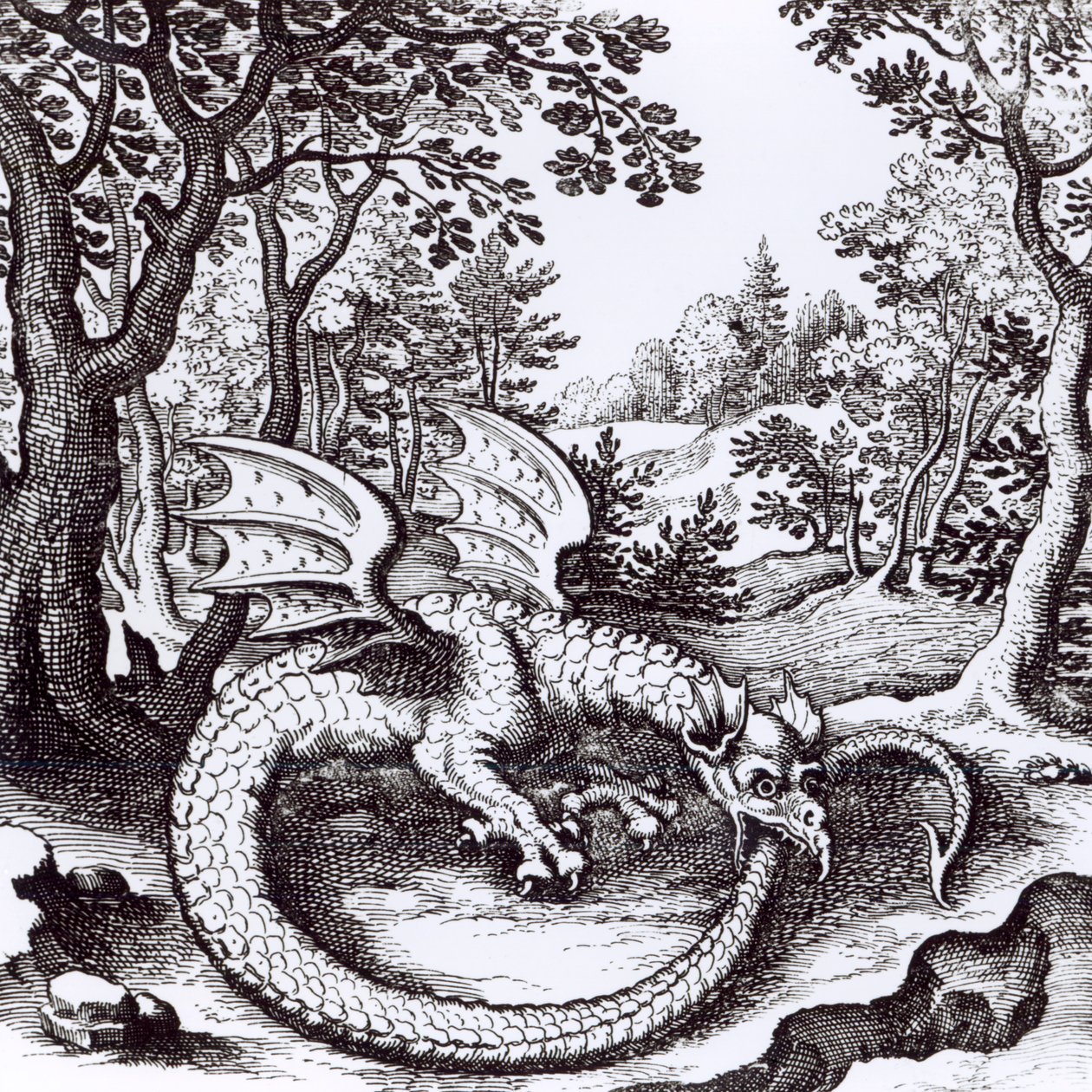 A Dragon in the Forest, from 
