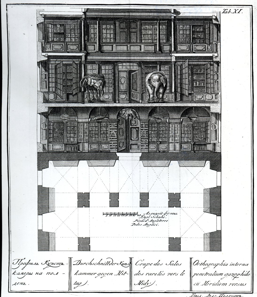 A Section view of the Hall of Rarities towards the South, illustration in Chambers of the St. Petersburg Imperial Academy of Sciences Library and Gallery showing Plans, Facades and Profiles by Johann by Russian School