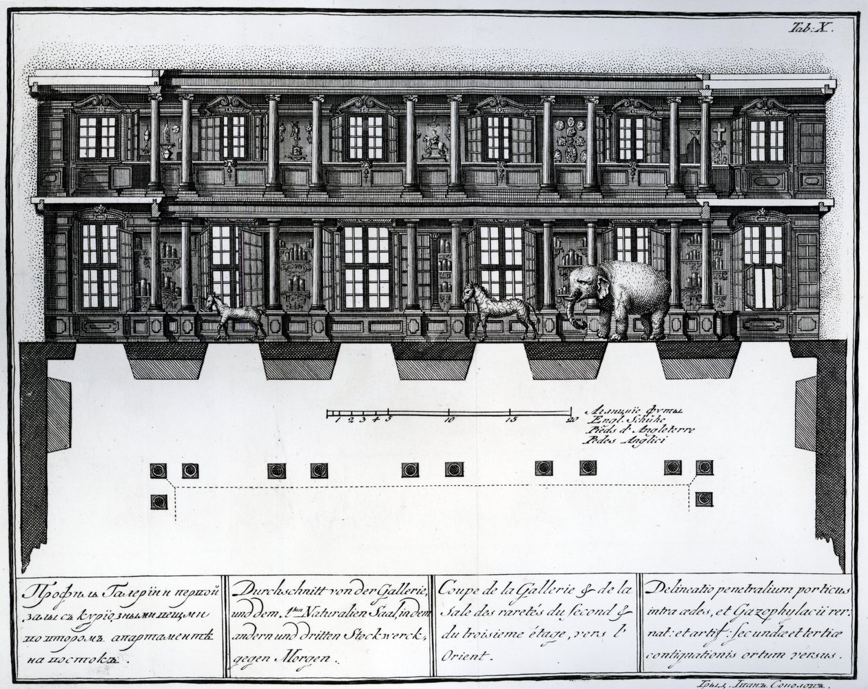 Section view of the second and third floor of the Hall of Rarities looking eastwards, illustration in Chambers of the St. Petersburg Imperial Academy of Sciences Library and Gallery showing Plans, Facades and Profiles by Johann by Russian School