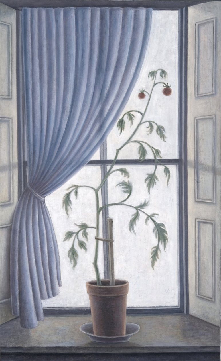 Plant in Window by Ruth Addinall