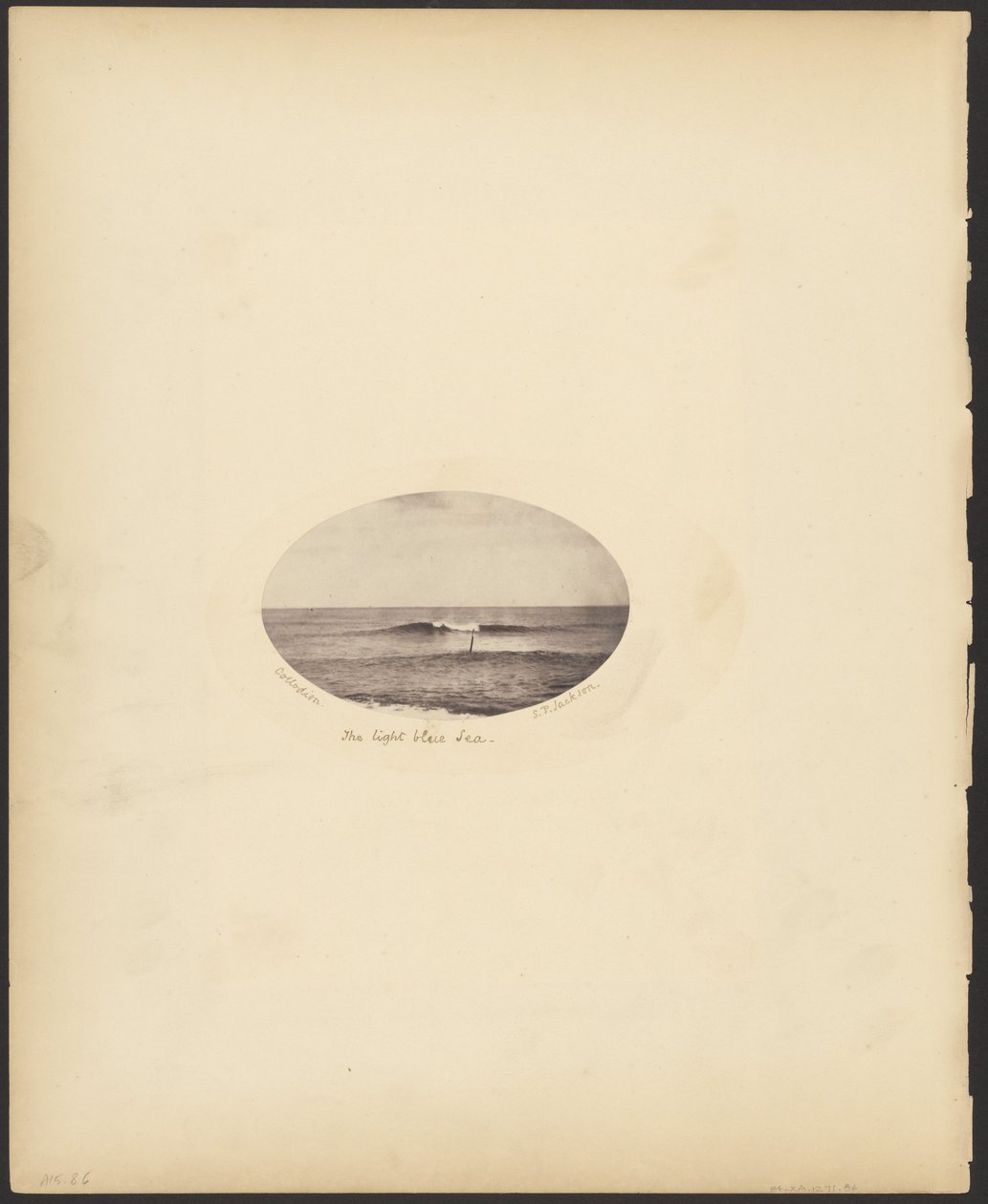 The Light Blue Sea by S. P. Jackson