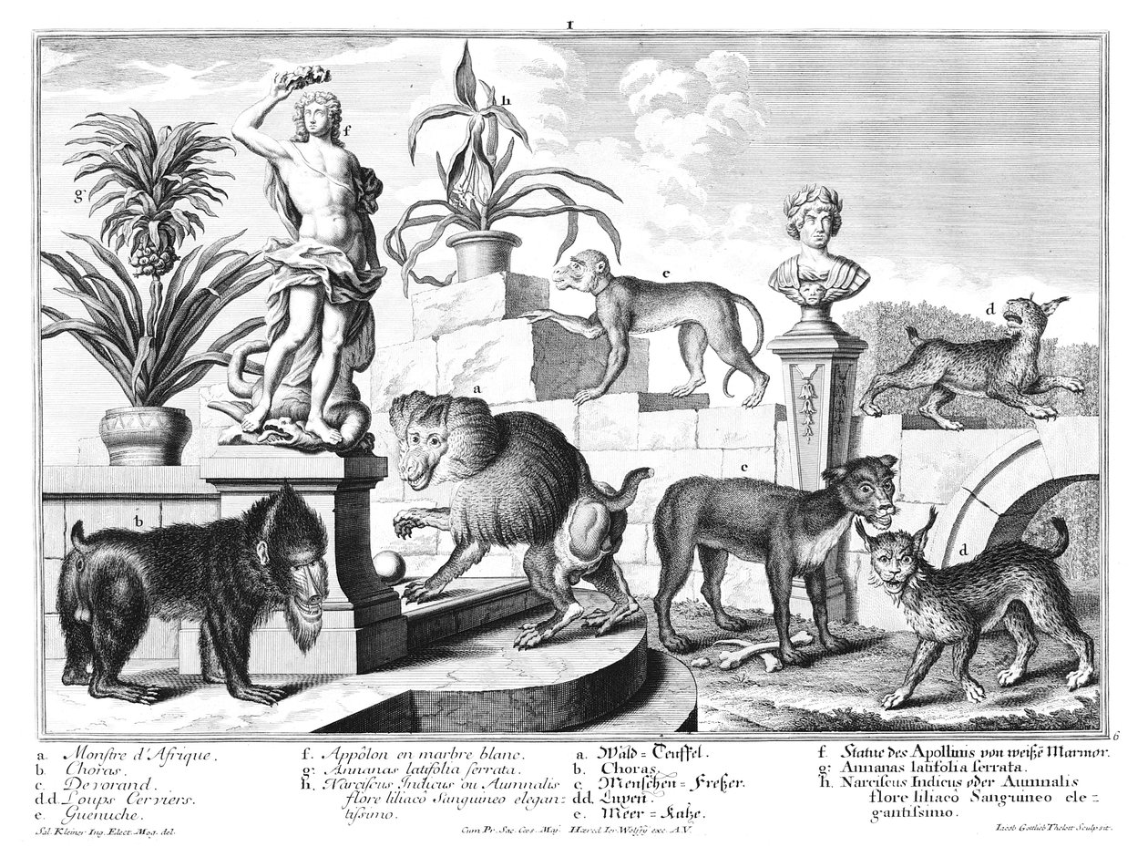 Monkeys and Wildcats by Salomon Kleiner