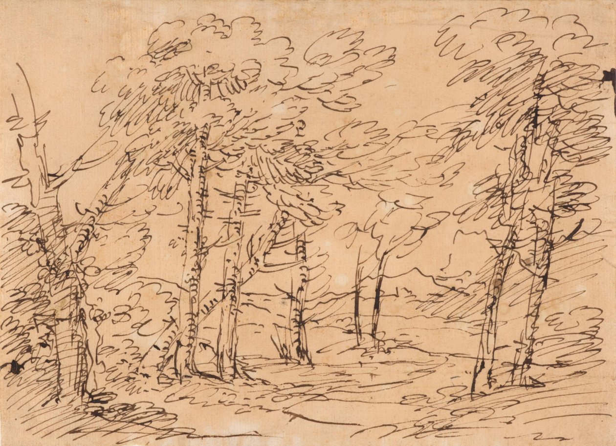 Landscape with Trees and Mountains in the Background by Salvator Rosa