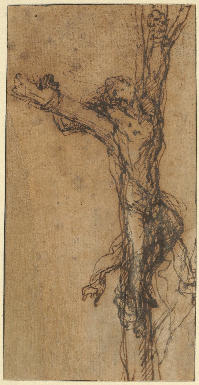 Study for Polycrates