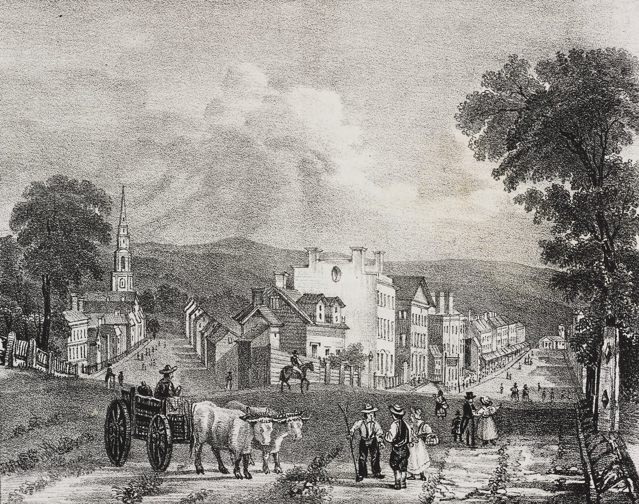 View of Utica, United States of America, lithograph by Salvatore Puglia from Poliorama Pittoresco, n 49, July 13 by Salvatore Puglia