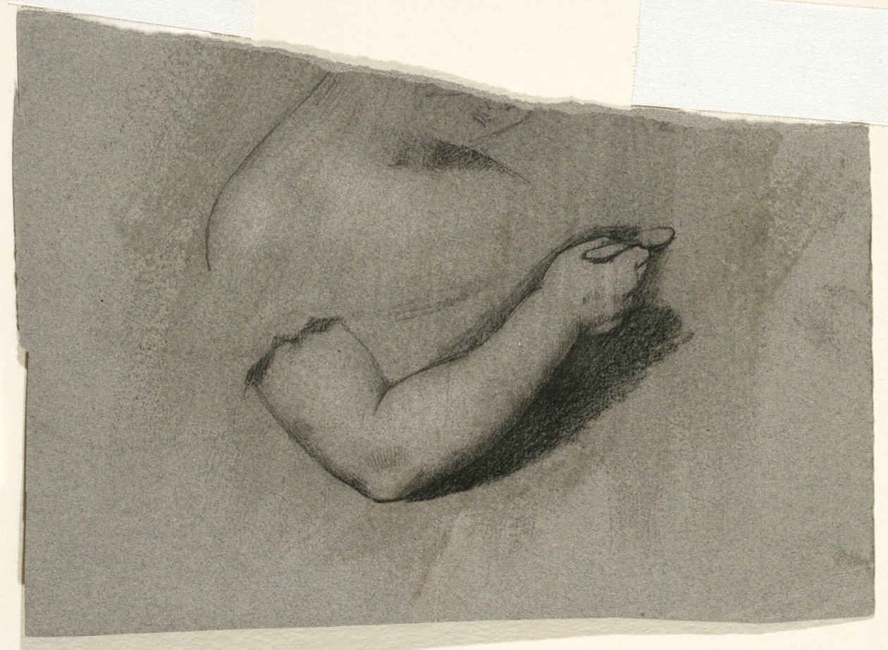 Study for a Portrait of Mary Hone by Samuel Finley Breese Morse