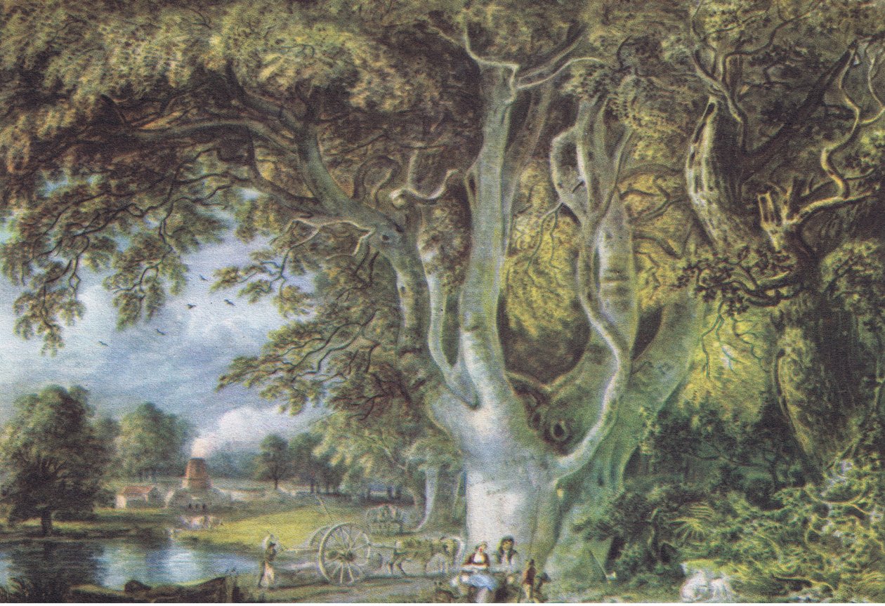 Oak Trees, Shoreham, Kent, Nature in Britain Published by Collins, 1946 by Samuel Palmer