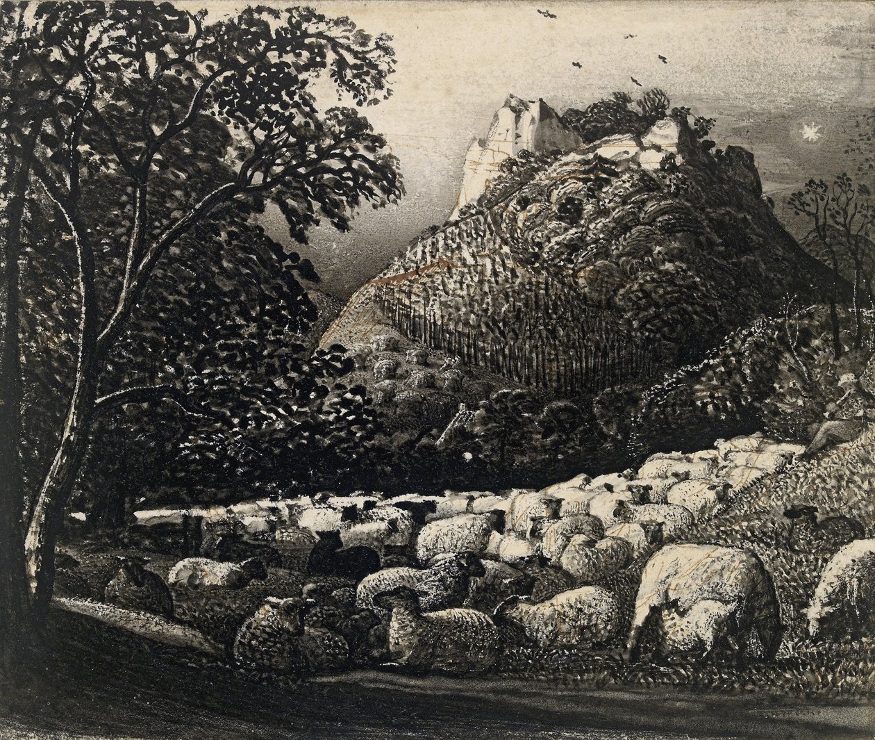 The Flock and the Star by Samuel Palmer