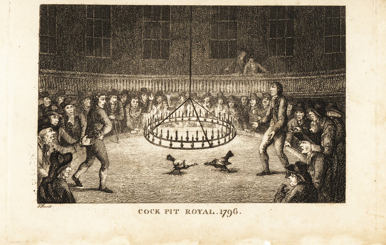 Gamblers watching a cockfight by candlelight at the Cock Pit Royal, St by Samuel (after) Howitt